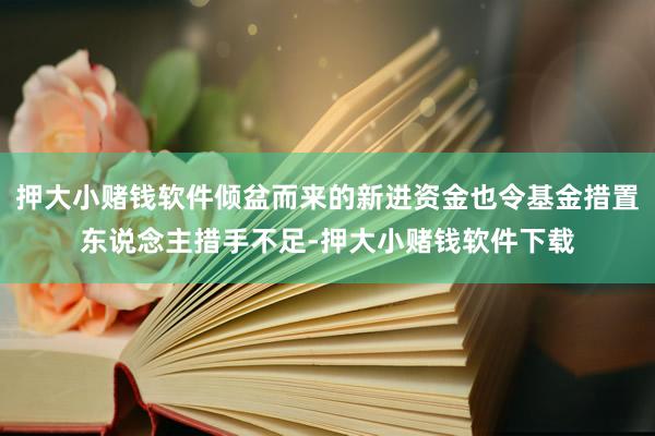 押大小赌钱软件倾盆而来的新进资金也令基金措置东说念主措手不足-押大小赌钱软件下载