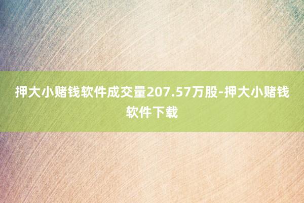 押大小赌钱软件成交量207.57万股-押大小赌钱软件下载