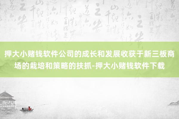 押大小赌钱软件公司的成长和发展收获于新三板商场的栽培和策略的扶抓-押大小赌钱软件下载