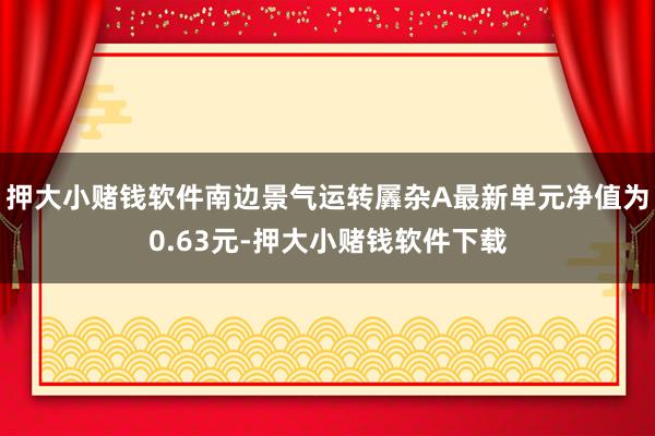 押大小赌钱软件南边景气运转羼杂A最新单元净值为0.63元-押大小赌钱软件下载