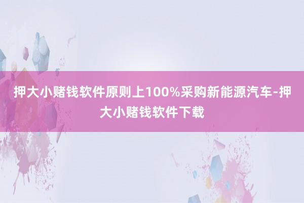 押大小赌钱软件原则上100%采购新能源汽车-押大小赌钱软件下载