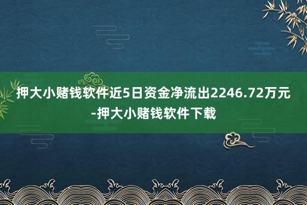 押大小赌钱软件近5日资金净流出2246.72万元-押大小赌钱软件下载